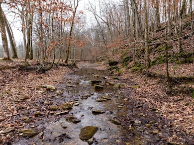 0 Shelter Branch Rd, Cumberland Furnace, TN 37051 - photo 3