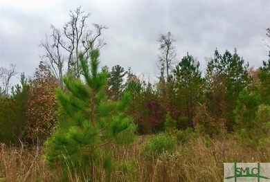 0 Hidden Creek Dr unit 219621, Guyton, GA 31312 - photo 2