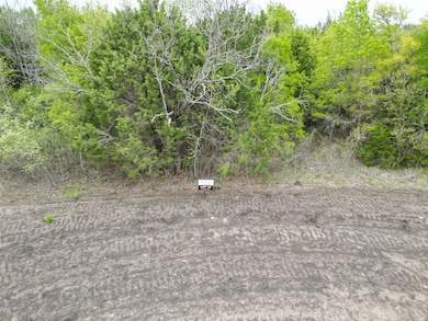 198 Fan Mill Trail, Weatherford, TX 76085 - photo 3