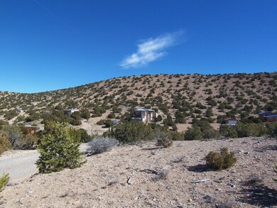 6 Caballo Palido, Placitas, NM 87043 - photo 4