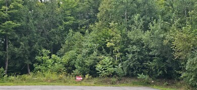 8 Beechwoods at Intervale Rd, Bartlett, NH 03845 - photo 4