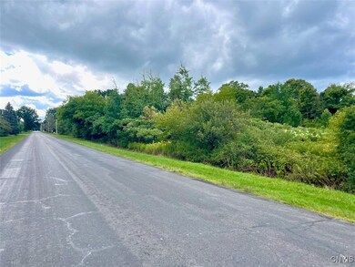 0 Maiden Lane Rd unit S1636648, Oswego, NY 13126 - photo 4