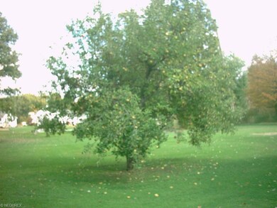 3872 Cook Rd, Rootstown, OH 44272 - photo 5