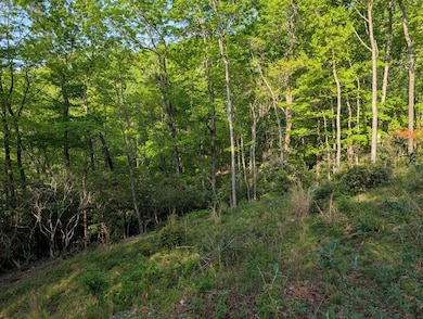 00 Cherokee Mine Rd, Franklin, NC 28734 - photo 6