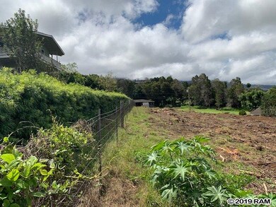 23 Upu Place, Kula, HI 96790 - photo 5