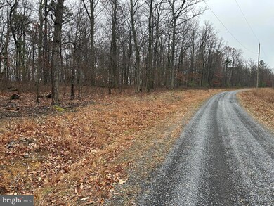 0 Doman Ridge Rd unit WVHS2007072, Romney, WV 26757 - photo 5