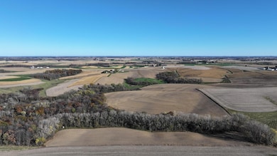 TBD County 10, Caledonia Township, MN 55921 - photo 5