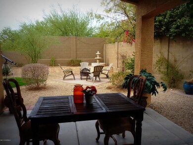 Back Yard _ Back Patio