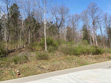 5031 Lynn Creek Rd, Lavalette, WV 25535 - photo 4