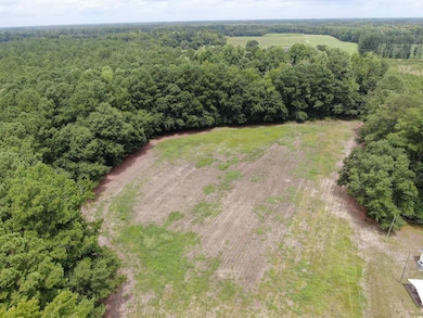 TBD Highway 308 unit Lot 7, Galivants Ferry, SC 29544 - photo 3