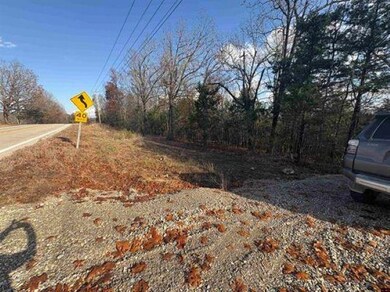 Tract B Arkansas 101, Gamaliel, AR 72537 - photo 4