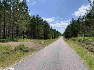 31810 Happy Hollow Rd, Robertsdale, AL 36567 - photo 7