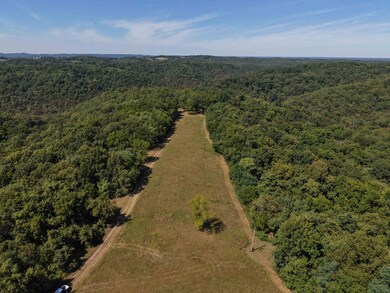 1168 Love Hollow Rd, Mount Pleasant, AR 72561 - photo 4