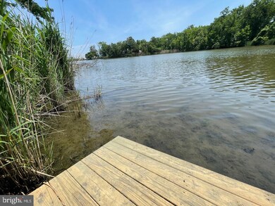 1133 Lake Heron Dr unit 3A, Annapolis, MD 21403 - photo 5