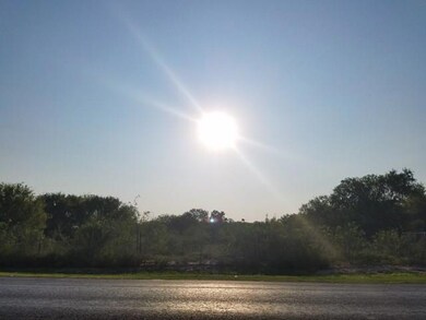 7137 & 7125 S Fm 493, Donna, TX 78537 - photo 4