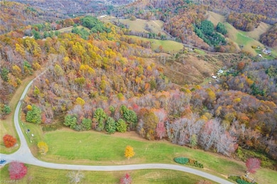 TBD 2 Mayito Ln, Mouth of Wilson, VA 24363 - photo 7