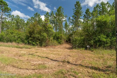 Herman_Ladner_Road_Lot_3-4