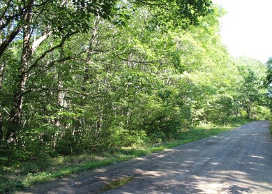 Lot #2 West St, Jefferson, ME 04348 - photo 4