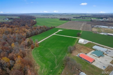 430 Bertha E Dumey Dr, Benton, MO 63736 - photo 4