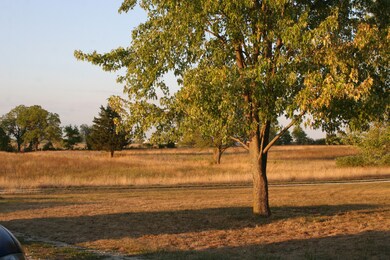 IMG_2541