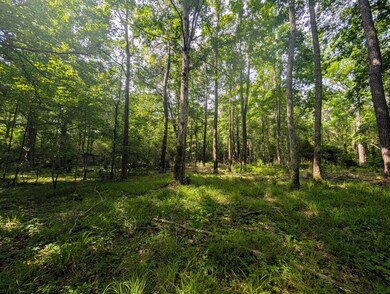 PXL_20250529_141732543