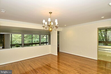 4974 Sentinel Dr unit 206, Bethesda, MD 20816 - photo 5