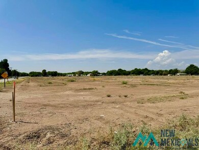 1623 Mission Ave, Carlsbad, NM 88220 - photo 2