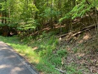 Lt 914 Villa Dr, Ellijay, GA 30540 - photo 6