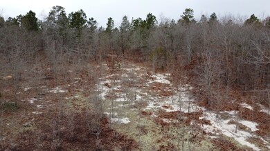 DJI_0563