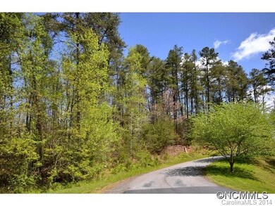 50 Cane Brook Dr unit 10, Leicester, NC 28748 - photo 5