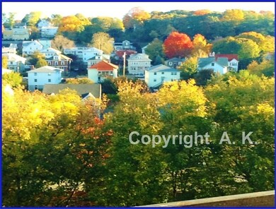 32 Whites Ave unit F8802, Watertown, MA 02472 - photo 6