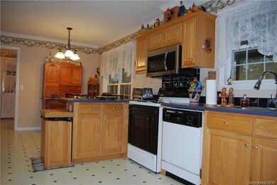 100 Hampton Rd, Leicester, NC 28748 - photo 6