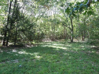 0 Stage Rd unit 73433439, Chesterfield, MA 01012 - photo 2