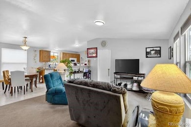 1801 W 92nd Ave unit 667, Federal Heights, CO 80260 - photo 5