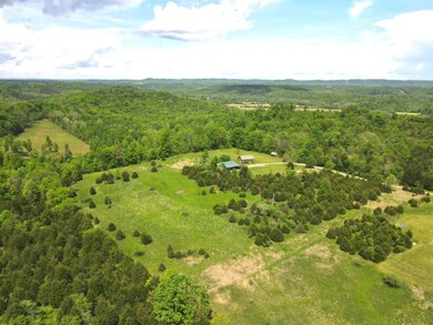 355 Lf Clock Dr, West Union, OH 45693 - photo 6