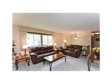Living Room. Living room has newer carpet on floor