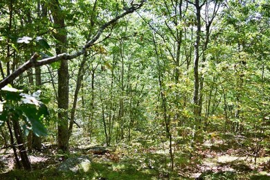 Maine Land for Sale in Frankfort, Maine