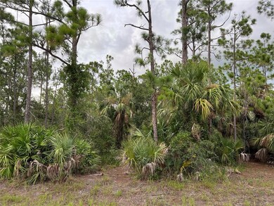 27032 Badger Dr, Punta Gorda, FL 33955 - photo 5