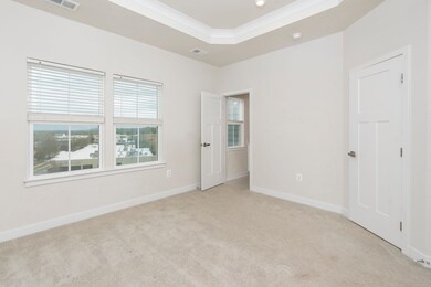 4022 Purple Flora Bend, Charlottesville, VA 22911 - photo 4