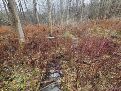 0 Beech Tree Rd unit B1653186, Ashford, NY 14141 - photo 3