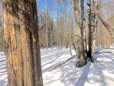 0 Nc Highway 704 E unit 1057414, Sandy Ridge, NC 27046 - photo 4