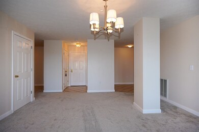 16 Mountain Laurels Dr unit U204, Nashua, NH 03062 - photo 3
