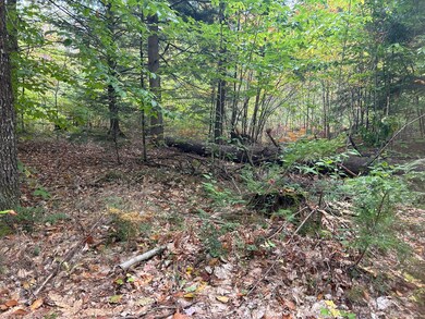 tbd Flat Ground, Acton, ME 04001 - photo 4