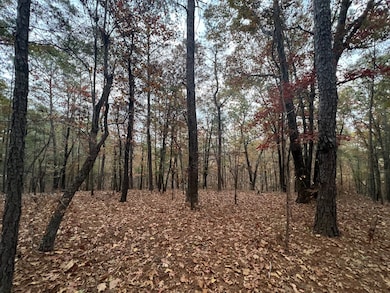 0 Depot, Jacksons Gap, AL 36861 - photo 5