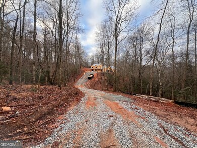 329 Twisting Ridge Trail, Demorest, GA 30535 - photo 7