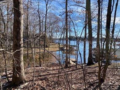LOT 254 N Lakeshore Dr, Louisa, VA 23093 - photo 2