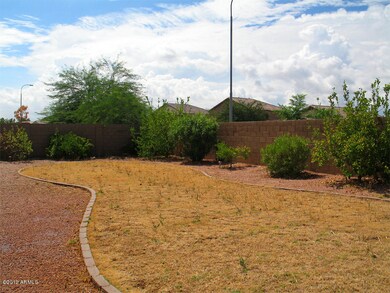 Large, Open Back Yard