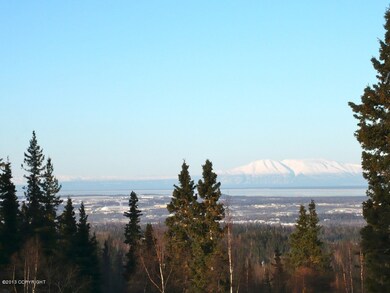 View of airport and west Anchorage