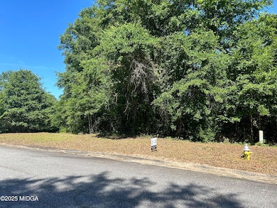 234 Alview Dr, Macon, GA 31206 - photo 2