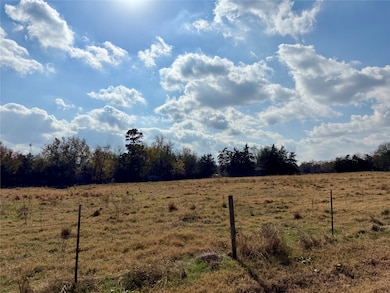 14 Acres County Road 3359, Saltillo, TX 75478 - photo 2